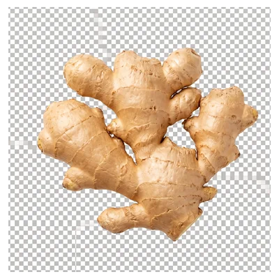 Gừng